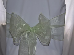 Organza Chair Sash